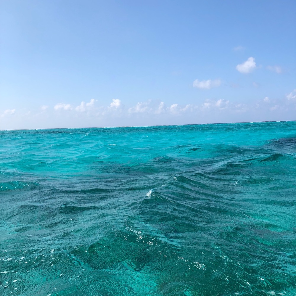 Meet your Posher, Mia